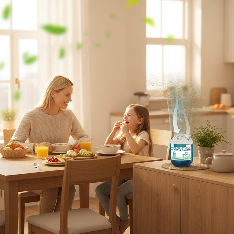 Indoor Air Purification Dust Removal Magic Box🏠🌿